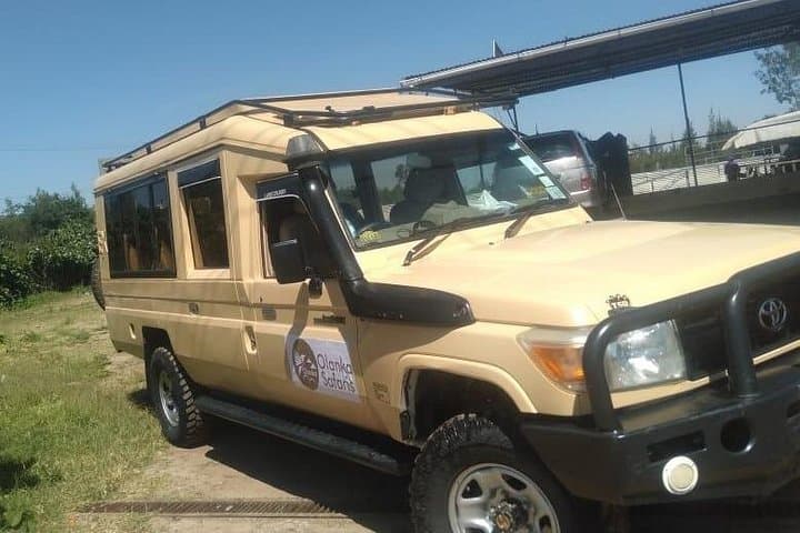 3-Day Masai Mara Safari from Nairobi: Big Five, Wildebeest Migration & Maasai Culture photo 5
