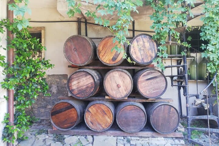 Frascati Private Wine Experience from Rome: Winery Tour, Tasting & Local Flavors