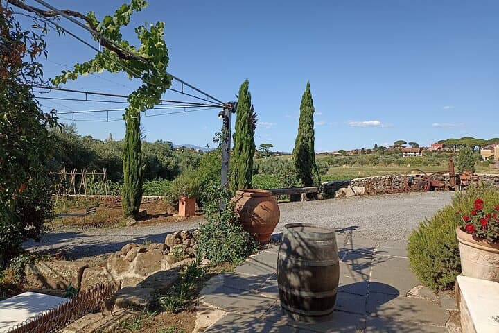 Frascati Private Wine Experience from Rome: Winery Tour, Tasting & Local Flavors photo 3