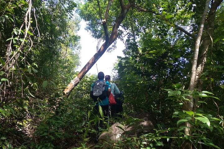 My Son Sanctuary and Mountain Trek: Hoi An’s Sunrise Pilgrim Route photo 2