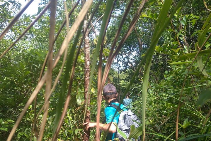 My Son Sanctuary and Mountain Trek: Hoi An’s Sunrise Pilgrim Route photo 3