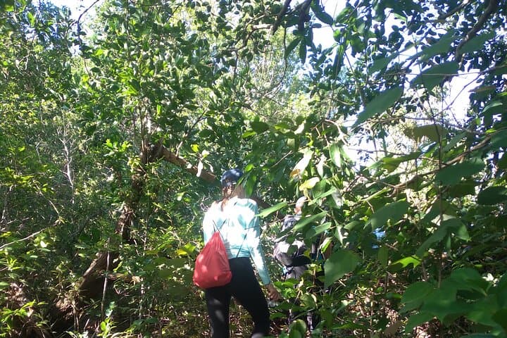 My Son Sanctuary and Mountain Trek: Hoi An’s Sunrise Pilgrim Route photo 4