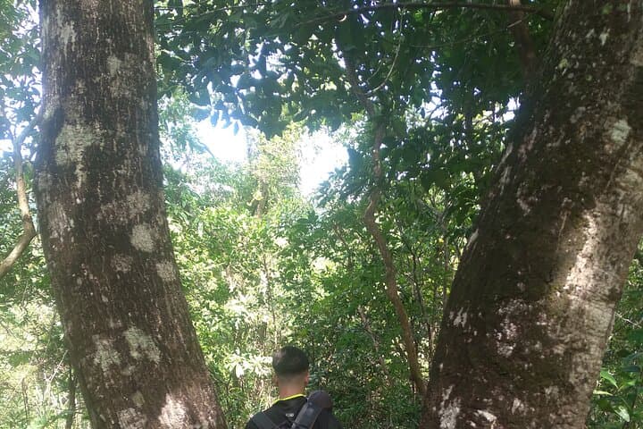 My Son Sanctuary and Mountain Trek: Hoi An’s Sunrise Pilgrim Route photo 5