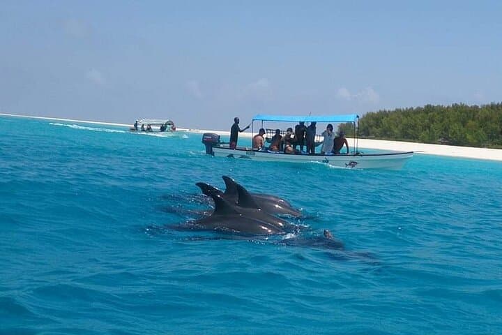 Mnemba Island Snorkeling & Dolphin Swim — Half-Day Tour from Nungwi photo 4