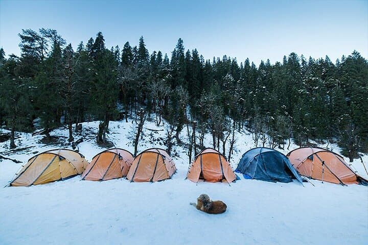Kedarkantha Trek: Winter Summit Hike from Sankri with Panoramic Himalayan Views photo 3