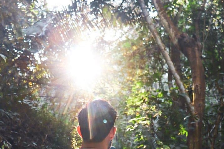 Nogalito Ecopark: Private 4‑Hour Jungle Hike with Breakfast Near Puerto Vallarta photo 1