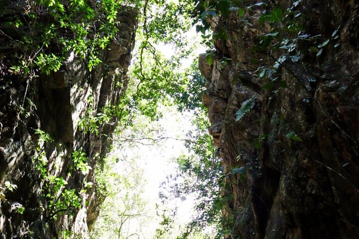 Nogalito Ecopark: Private 4‑Hour Jungle Hike with Breakfast Near Puerto Vallarta photo 3