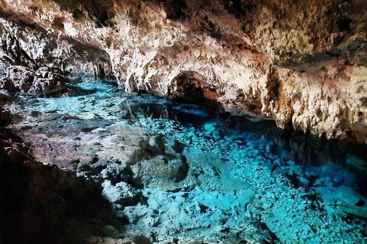 Kuza Cave to Salaam: Full-Day Jozani, Spice & Turtle Swim Tour in Zanzibar photo 3