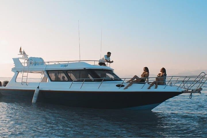 Nusa Penida VIP Private Boat: Snorkel with Manta Rays and Kelingking Cliff Tour photo 1