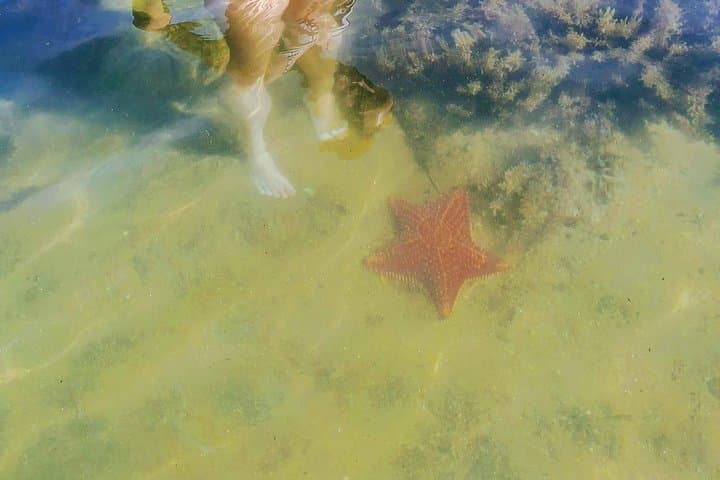 Ilha Grande Speedboat Day: Blue Lagoon, Green Lagoon & Secret Beaches photo 4