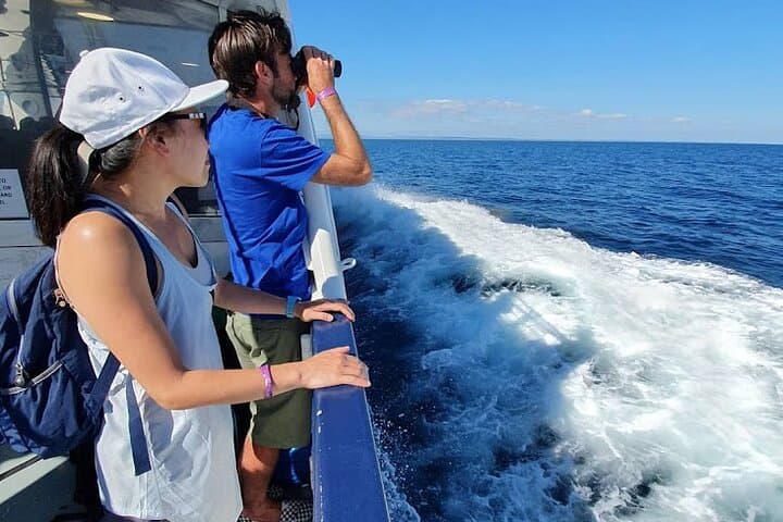 Galway to Inishmore: Aran Islands Day Trip with Cliffs of Moher Cruise photo 2