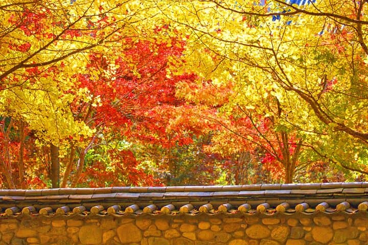 Autumn at Unmunsa: Day Tour to the Bhikkhuni Temple from Busan photo 2
