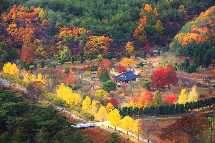 Autumn at Unmunsa: Day Tour to the Bhikkhuni Temple from Busan