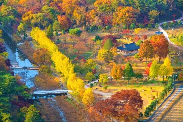 Autumn at Unmunsa: Day Tour to the Bhikkhuni Temple from Busan photo 3