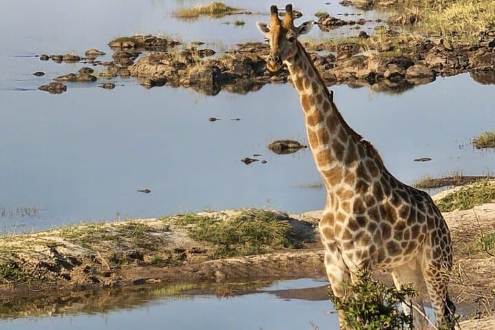 Full-Day Victoria Falls Safari Tour: Guided Falls, Bridge Walk, Game Drive & Boma Dinner photo 3