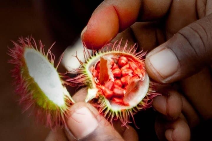 Full-Day Zanzibar: Spice Farm, Kuza Cave & Swim-With-Turtles Experience photo 4