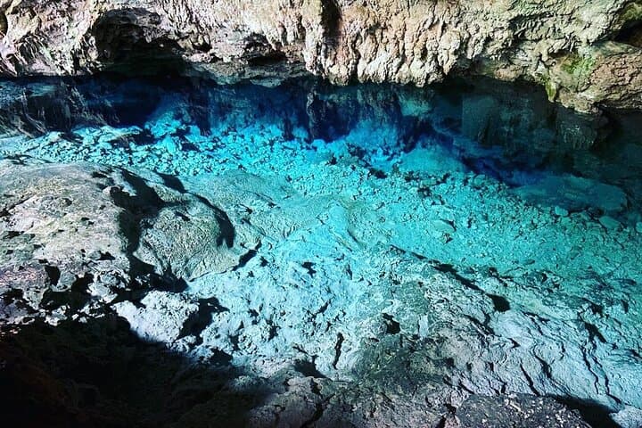 Kuza Cave to Salaam: Full-Day Jozani, Spice & Turtle Swim Tour in Zanzibar