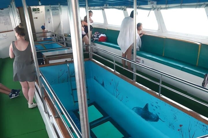 Paphos Glass-Bottom Cruise: 90-Minute Coastal Reef & Swim Experience photo 6