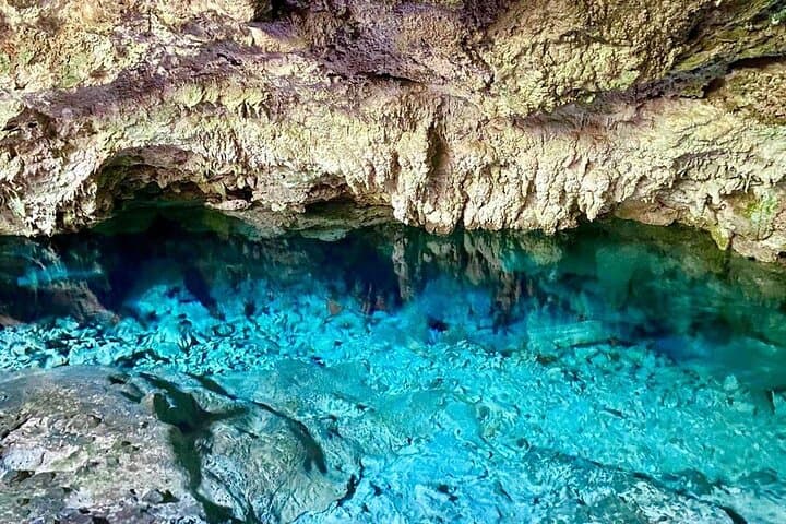 Kuza Cave to Salaam: Full-Day Jozani, Spice & Turtle Swim Tour in Zanzibar photo 6