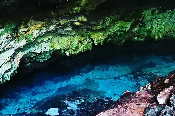 Kuza Cave to Salaam: Full-Day Jozani, Spice & Turtle Swim Tour in Zanzibar photo 5