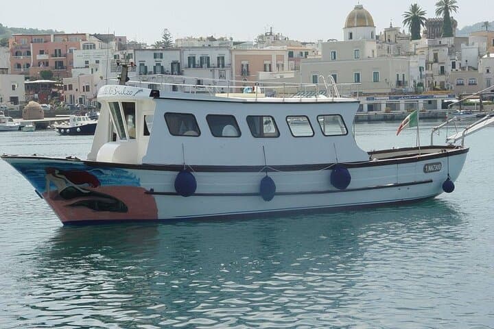 Full-Day Ischia Island Boat Tour with Lunch and Thermal Swim photo 1