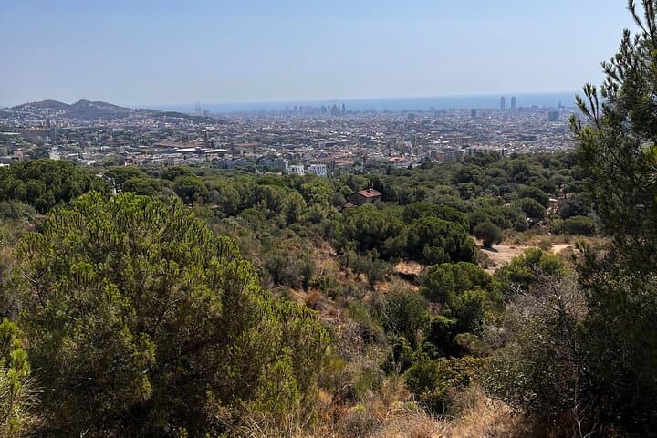 Wildlife Hiking in Barcelona's Collserola Hills: A 2-Hour Guided Escape photo 2