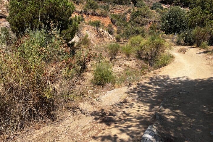Wildlife Hiking in Barcelona's Collserola Hills: A 2-Hour Guided Escape