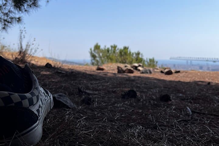 Wildlife Hiking in Barcelona's Collserola Hills: A 2-Hour Guided Escape photo 5