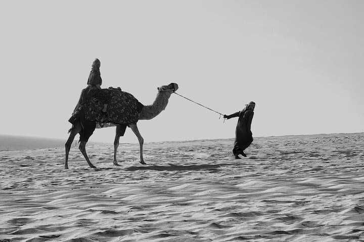 Sunset Dune Safari at Sealine: Doha Desert-to-Beach Adventure photo 3