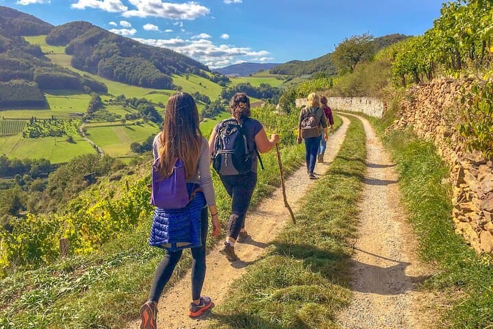 Wachau World Heritage Hike — Danube Panoramas, Vineyards & Heurigen Stops