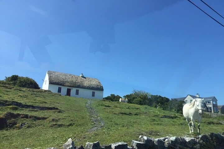 Galway to Inishmore: Aran Islands Day Trip with Cliffs of Moher Cruise photo 5