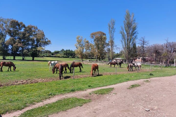 Rome's Ultimate Bike Tour: Appian Way, Aqueducts & Ancient Sites photo 6