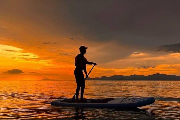 Paddle Langkawi’s Secret Mangroves: Kilim Geoforest Kayak Expedition photo 4
