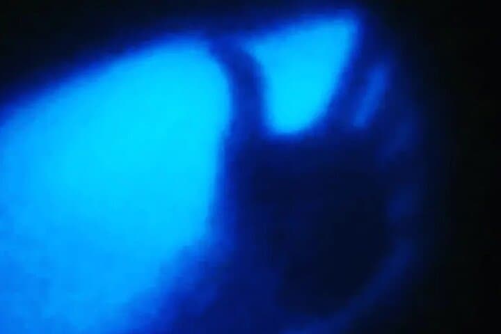Puerto Escondido Bioluminescent Night Tour at Manialtepec Lagoon photo 4