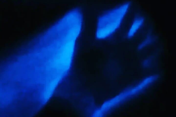 Puerto Escondido Bioluminescent Night Tour at Manialtepec Lagoon photo 5
