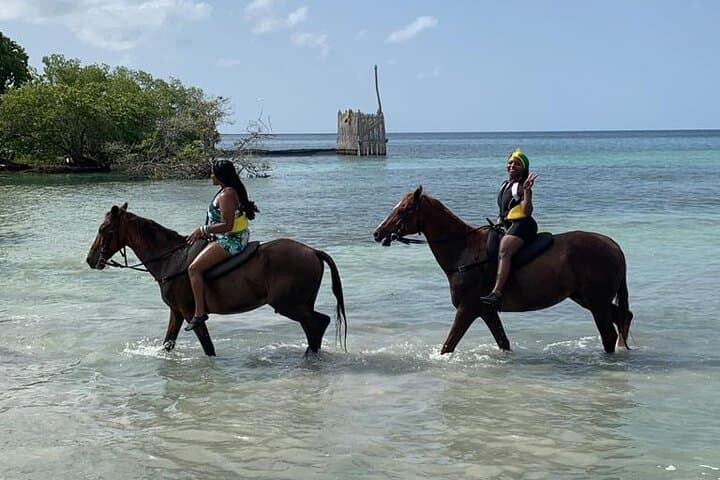 Montego Bay River Rafting & Horseback Ride 'n' Swim — Bamboo Rafts & Caribbean Gallops