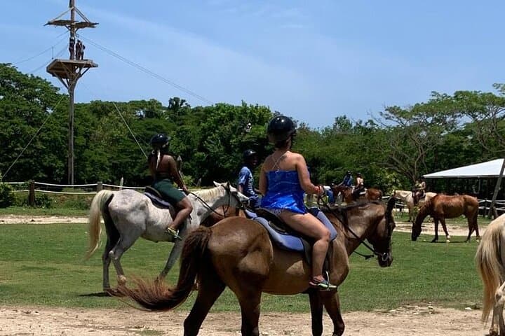 Montego Bay River Rafting & Horseback Ride 'n' Swim — Bamboo Rafts & Caribbean Gallops photo 3