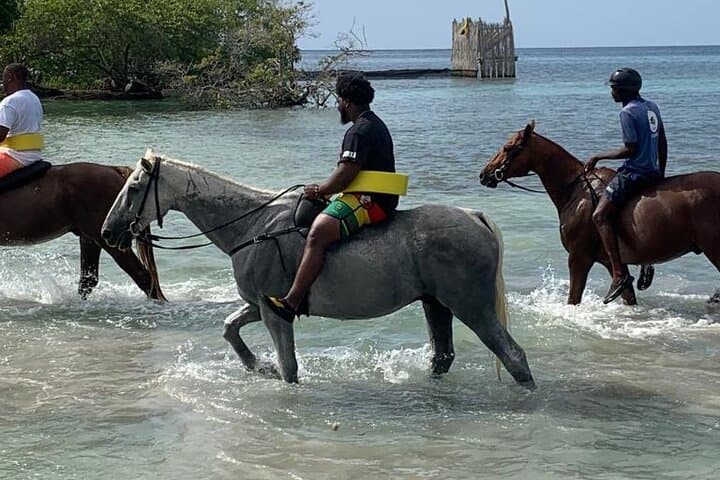 Montego Bay River Rafting & Horseback Ride 'n' Swim — Bamboo Rafts & Caribbean Gallops photo 5