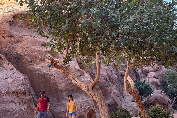Wadi Rum Short Jeep Tours: Half-Day Desert Excursions from Aqaba photo 6