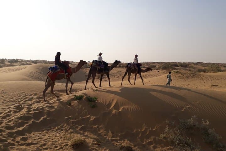Overnight Camel Safari in the Thar Desert: Jaisalmer Stars & Sunrise