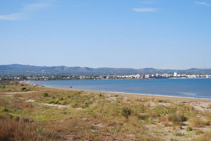 Guided Ebro Delta North Tour — Birdwatching, Rice Fields & Coastal Wetlands photo 4