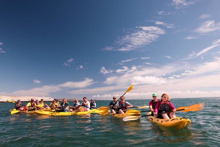 Kayak Around Schaapen Island in Langebaan Lagoon — 2‑Hour Guided Tour