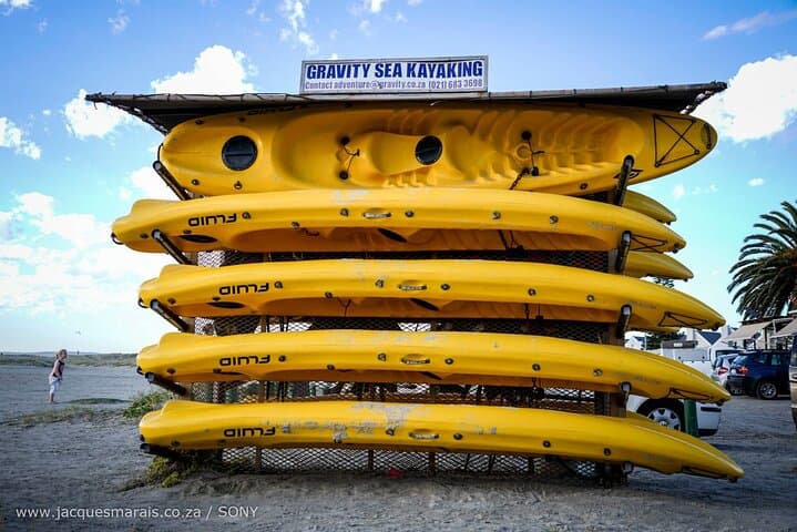 Kayak Around Schaapen Island in Langebaan Lagoon — 2‑Hour Guided Tour photo 3