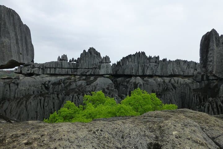 Tsingy de Bemaraha 4-Day Adventure: Baobabs, Kirindy & Manambolo photo 4