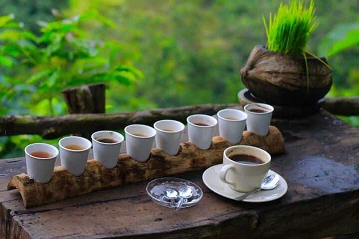 Full-Day Private Balinese Culture Tour — Ubud, Kintamani, Tirta Empul & Coffee Plantations photo 2