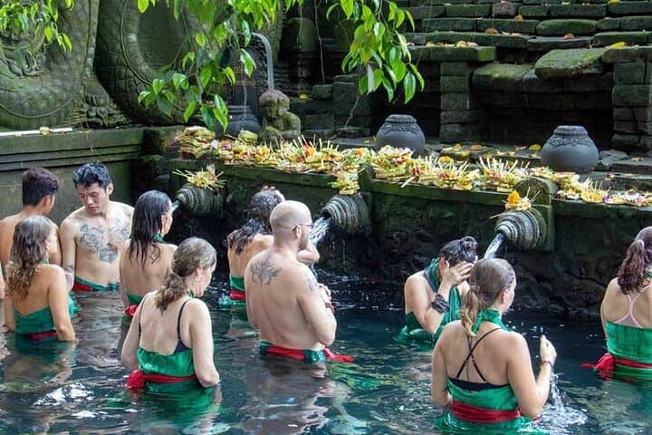 Full-Day Private Balinese Culture Tour — Ubud, Kintamani, Tirta Empul & Coffee Plantations photo 3