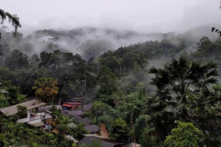Chiang Dao 2-Day Jungle Trek & Hidden Village Homestay photo 2
