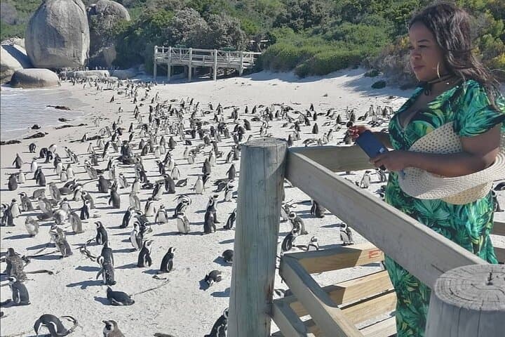 Private Cape Peninsula Tour — Boulders Penguins, Chapman’s Peak & Cape Point Adventure photo 5