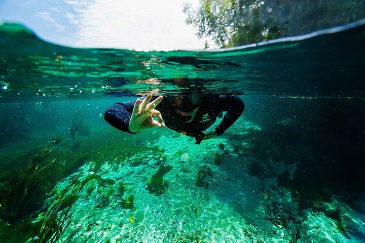 Floating the Sucuri River: Snorkel Brazil’s Crystal-Clear Springs photo 3