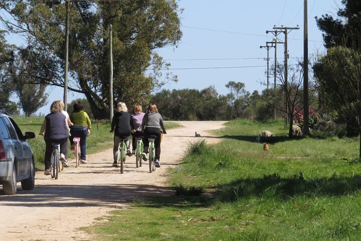 Thousand Rumbos Bike Tourism: Rural San Agustín Vintage-Bike Tour photo 2